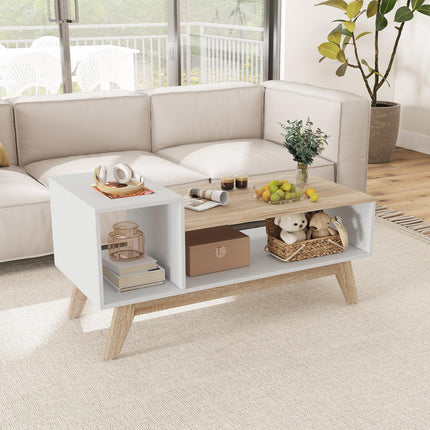 Dreamade 2-Tier Coffee Table with Storage Mid Century Modern Center Table