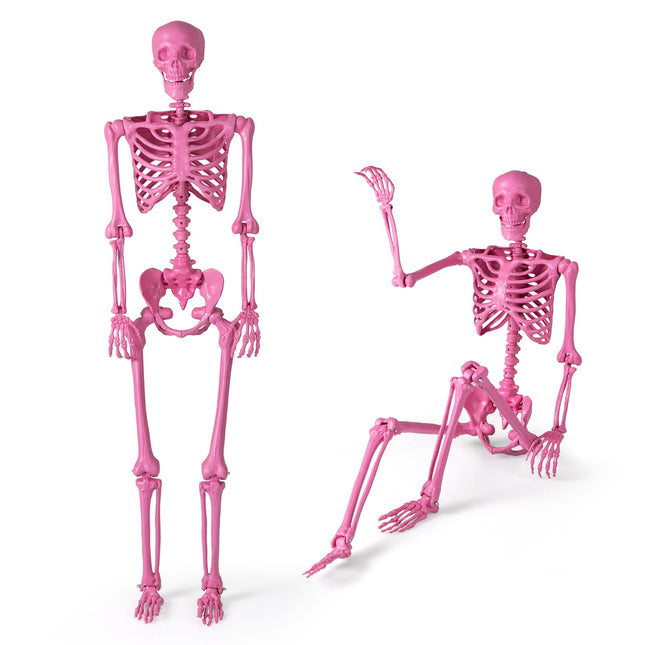 Dreamade 5.5 FT Halloween Pink Skeleton Life-Size Poseable Skeleton with Movable Joints