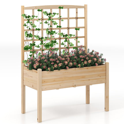 Dreamade Raised Garden Bed with Trellis