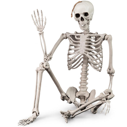 DREAMADE 5.4 FT Life-Size Halloween Skeleton | 7 Movable Joints for Custom Poses