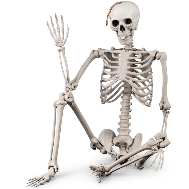 DREAMADE 5.4 FT Life-Size Halloween Skeleton | 7 Movable Joints for Custom Poses