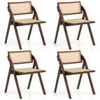 2 / Brown