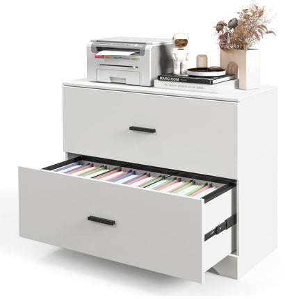 Dreamade 2-Drawer Lateral File Cabinet Printer Stand