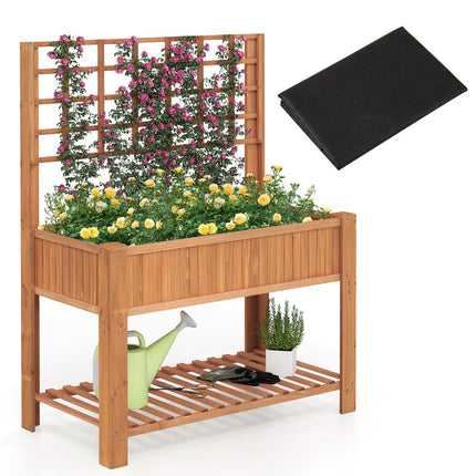 Dreamade Raised Garden Bed with Trellis