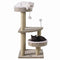 Cat Trees