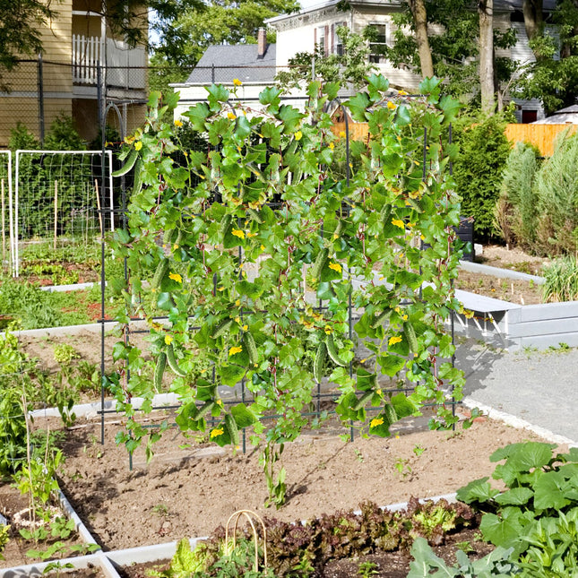 Dreamade Garden Arched Trellis for Climbing Plants, 71” x 71” U-Shaped Tall Cucumber Trellis for Raised Garden Bed