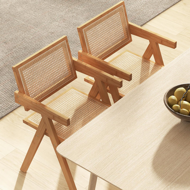Dreamade Rattan Accent Chair Set of 2