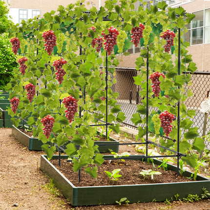 Dreamade Cucumber Trellis, Trellis for Climbing Plants Outdoor