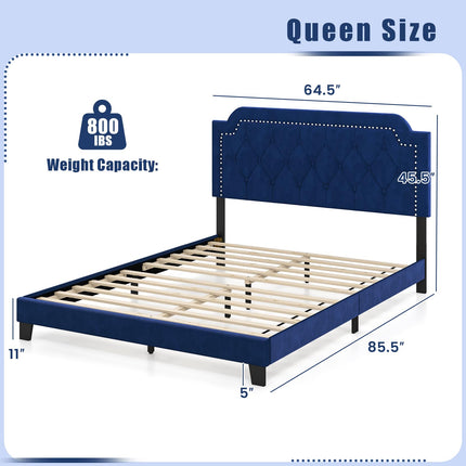 Dreamade Velvet Queen Size Bed Frame, Upholstered Platform Bed with Button Tufted & Nailhead Trim Headboard