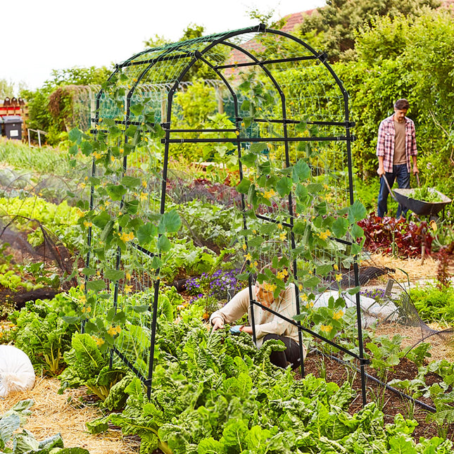 Garden Arch Trellis for Climbing Plants - Dreamade