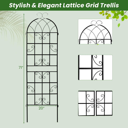 Dreamade Trellis for Climbing Plants Outdoor, 6 FT Tall Galvanized Steel Garden Trellis