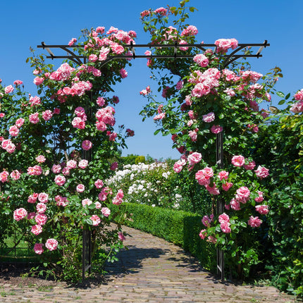 Dreamade Garden Arch Trellis, Wedding Arbor for Ceremony Party, 79''W x 81''H, Metal Garden Arbor for Climbing Plants Rose