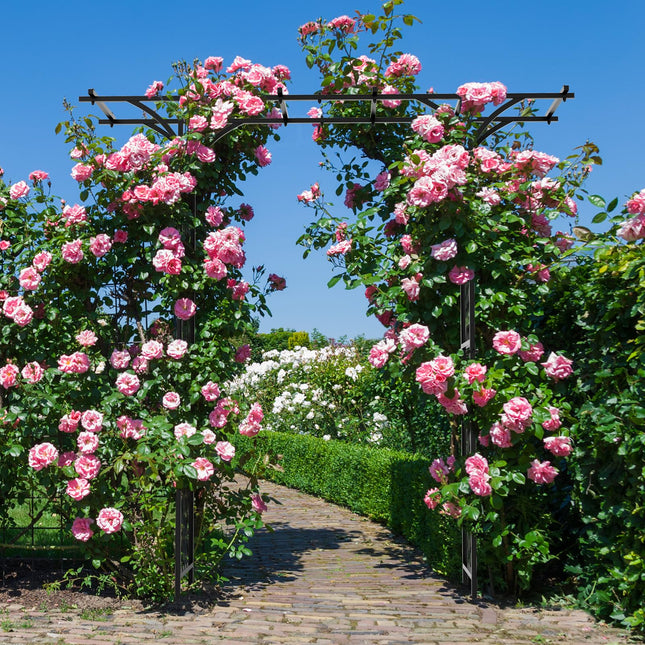 Dreamade Garden Arch Trellis, Wedding Arbor for Ceremony Party, 79''W x 81''H, Metal Garden Arbor for Climbing Plants Rose