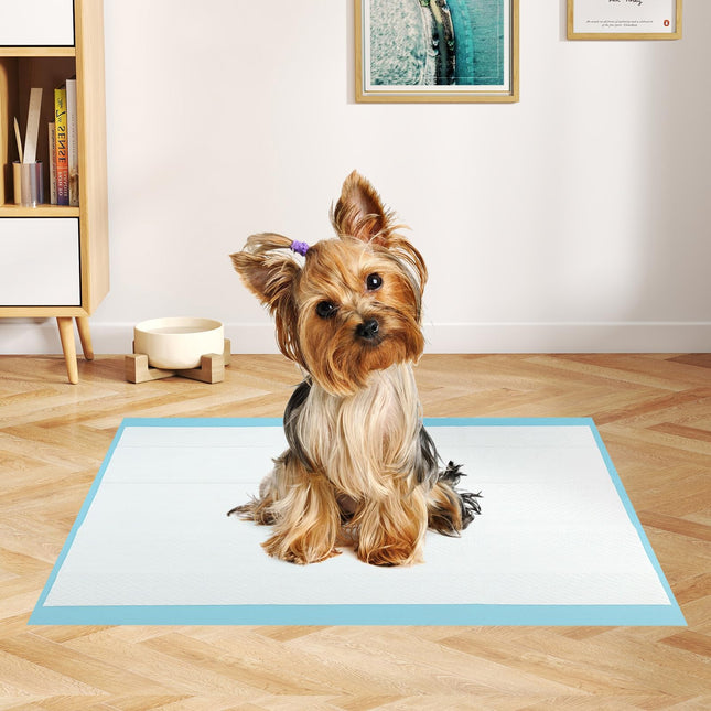 Dreamade Dog Pee Pads 300 Count 24" x 17" Puppy Training Pads for Small Dogs