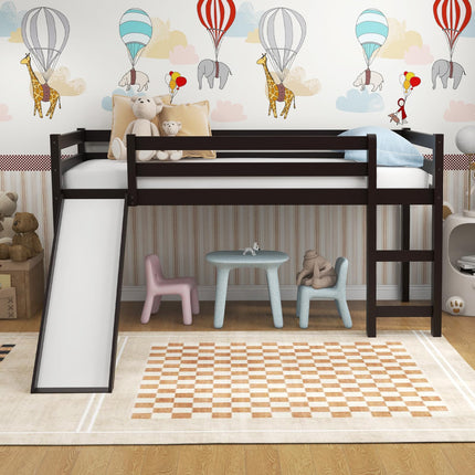 Dreamade Loft Bed with Slide