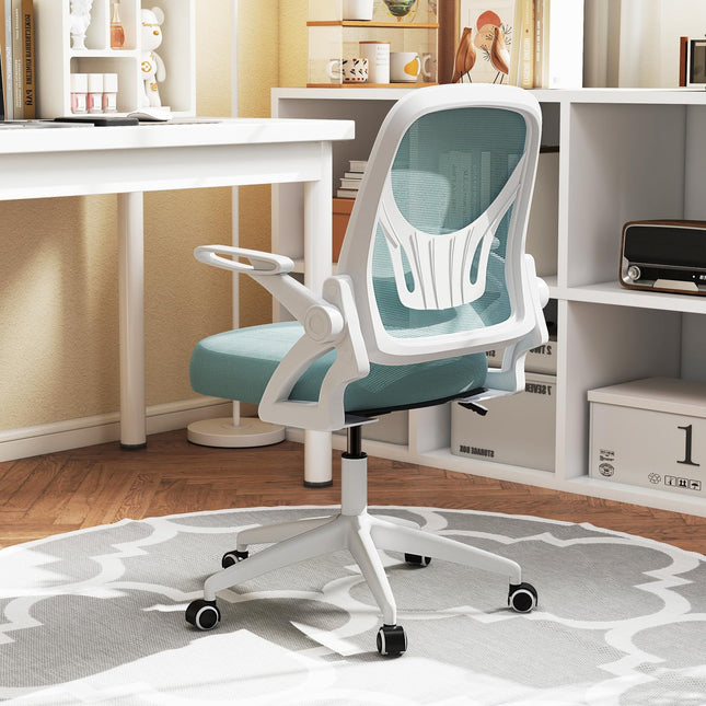 Dreamade Ergonomic Desk Chair with Flip-up Arms & Lumbar Support