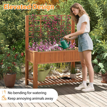 Dreamade Raised Garden Bed with Trellis