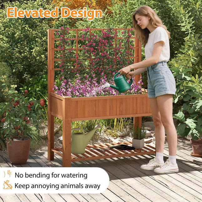 Dreamade Raised Garden Bed with Trellis