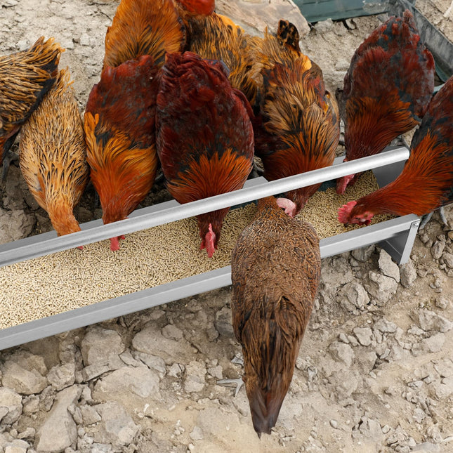 Dreamade Chicken Feeding Trough 45" Long - Heavy Duty Galvanized Steel Chicken Feeder