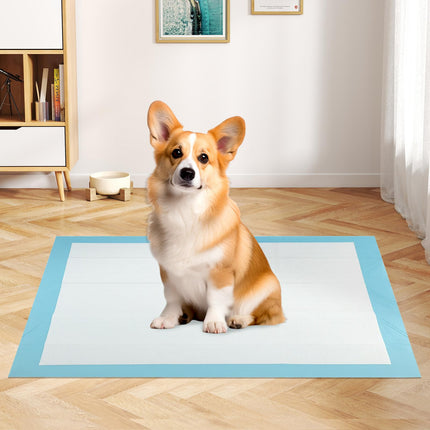 Dreamade Dog Pee Pads 150/300 Count 36" x 24" Large Training Pads for Dogs