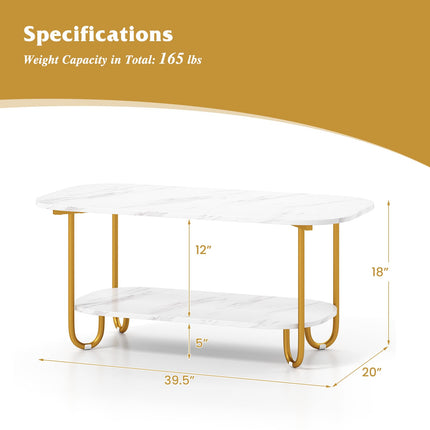 Dreamade 2 Tier Coffee Table with Storage Modern Faux Marble Center Table