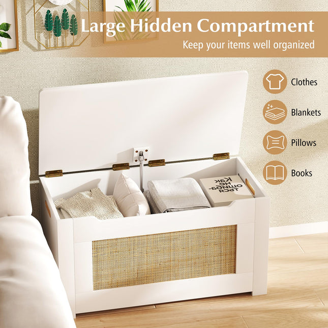Dreamade Rattan Storage Bench with Flip Top Lid & Safety Hinge