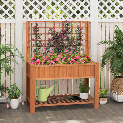 Dreamade Raised Garden Bed with Trellis