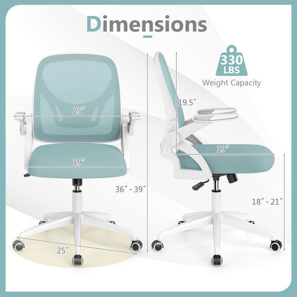 Dreamade Ergonomic Desk Chair with Flip-up Arms & Lumbar Support