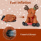 Christmas & Holiday Decor