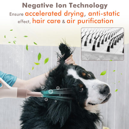Dreamade Dog Dryer, Dog Hair Dryer with Adjustable Air Speed and Temperature Control, 4 Nozzles, Negative Ion Function