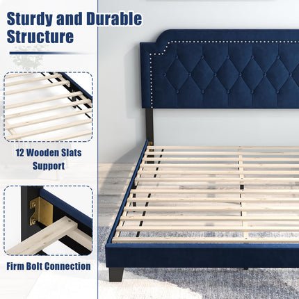 Dreamade Velvet Queen Size Bed Frame, Upholstered Platform Bed with Button Tufted & Nailhead Trim Headboard