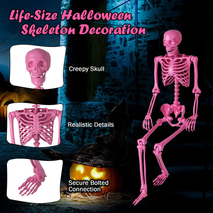 Dreamade 5.5 FT Halloween Pink Skeleton Life-Size Poseable Skeleton with Movable Joints