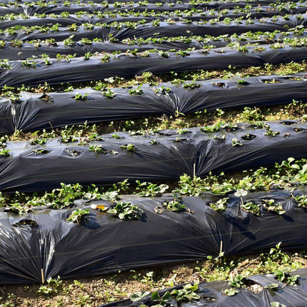 Dreamade 6.5x330 FT Weed Barrier Landscape Fabric, 3.2OZ Heavy-Duty Permeable Woven PP Ground Cover