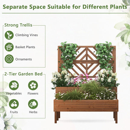 Dreamade Raised Garden Bed with Trellis