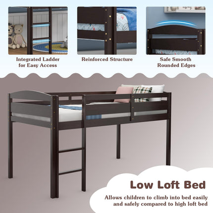 Dreamade Loft Bed with Ladder