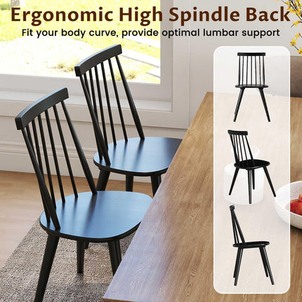 Dreamade Windsor Dining Chairs Set of 2/4 Farmhouse Wooden Black Kitchen Chairs