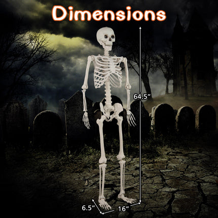 DREAMADE 5.4 FT Life-Size Halloween Skeleton | 7 Movable Joints for Custom Poses