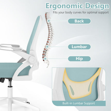 Dreamade Ergonomic Desk Chair with Flip-up Arms & Lumbar Support