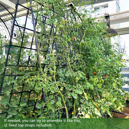 Dreamade Trellis for Climbing Plants Outdoor, 6 FT Tall Galvanized Steel Garden Trellis