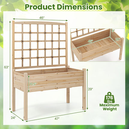 Dreamade Raised Garden Bed with Trellis