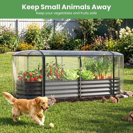 Dreamade Raised Garden Bed w/Greenhouse Cover (6x2x1 FT)