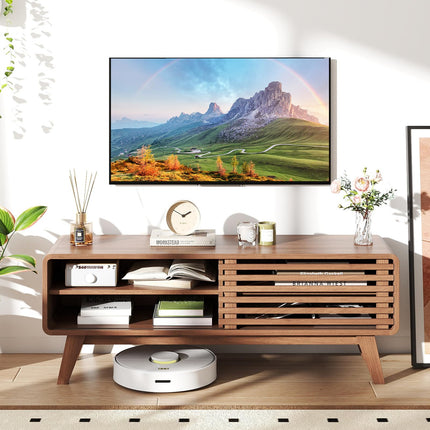 Dreamade TV Stand for TVs up to 55" with Sliding Door and Adjustable Shelves for Living Room