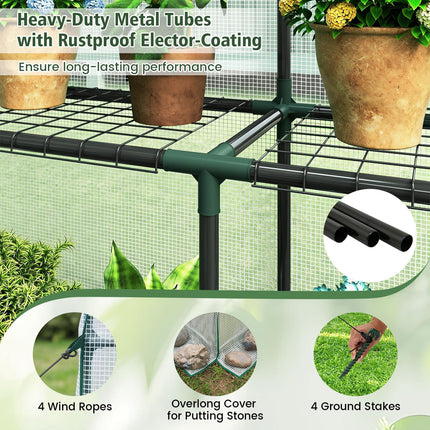 Dreamade 57”L x 57”W x 77”H Walk-in Greenhouse for Outdoors