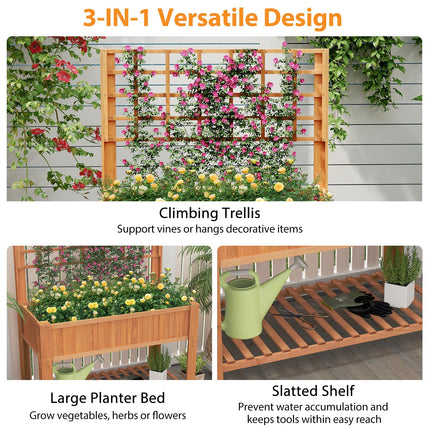 Dreamade Raised Garden Bed with Trellis