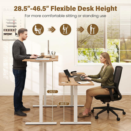 Dreamade 63 x 24 Inch Electric Standing Desk w/ 3 Memory Presets