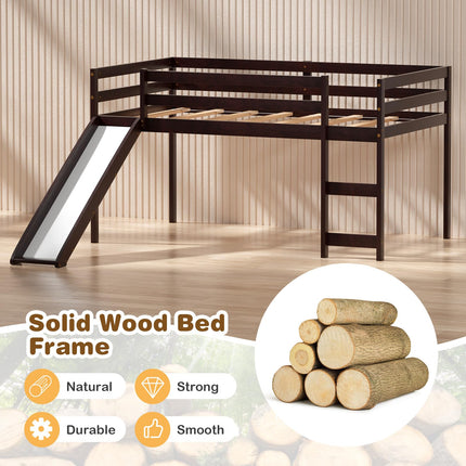 Dreamade Loft Bed with Slide