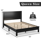 Queen / Black