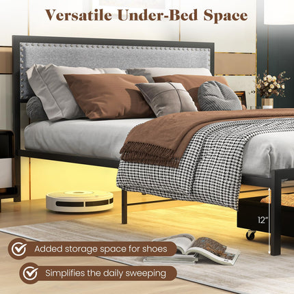 Dreamade Queen/Full/Twin Size Bed Frame with LED Lights and 2 Storage Drawers