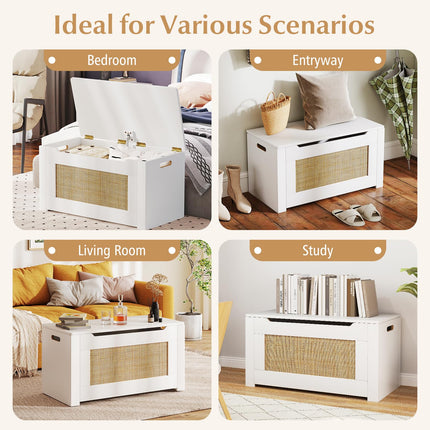 Dreamade Rattan Storage Bench with Flip Top Lid & Safety Hinge