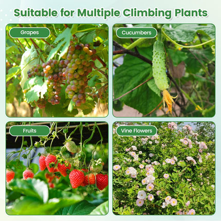 Garden Arch Trellis for Climbing Plants - Dreamade